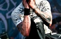 100711img_1942rockharzcdrwuestenhagenx