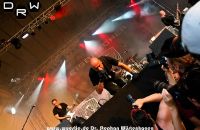 100711img_4323rockharzcdrwuestenhagenx