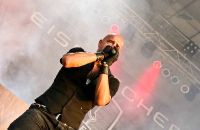 100711img_4336rockharzcdrwuestenhagenx