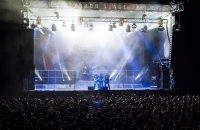 Accept (13 von 14).jpg