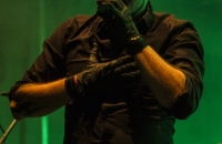 Megaherz (3 von 10).jpg