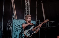 Green Lung